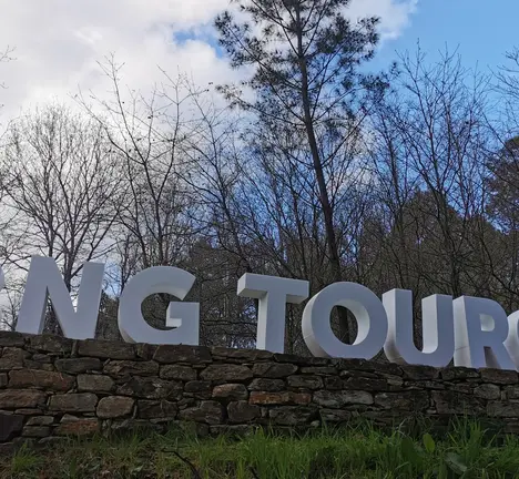 BNG Touro con &aacute;rbores da Santaia de fondo